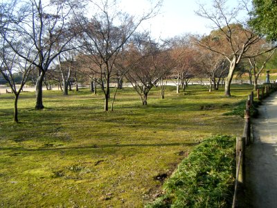 Korakuen Okayama 2009 22