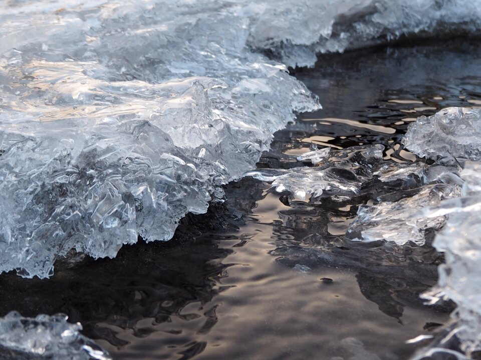 Reflection nature winter