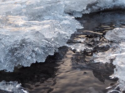 Reflection nature winter