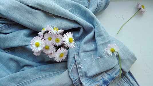 Jeans daisies flowers