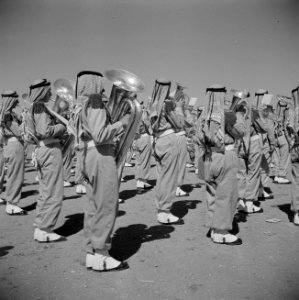 Kopersectie in het muziekkorps van de koninklijke erewacht bij een parade, Bestanddeelnr 255-5083