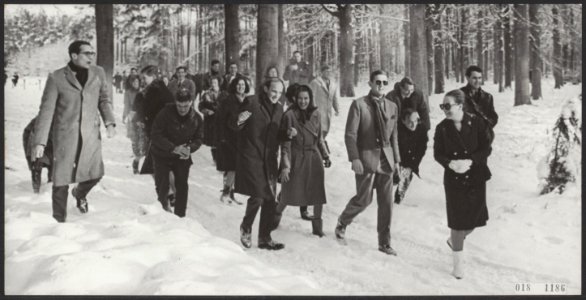 Koninklijk huis, prinsessen, sneeuw, bossen, Margriet, prinses, Bestanddeelnr 018-1186