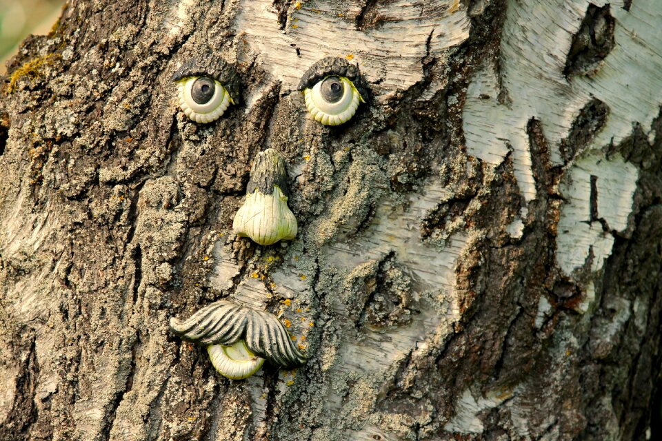 Face tree spirit forest spirit