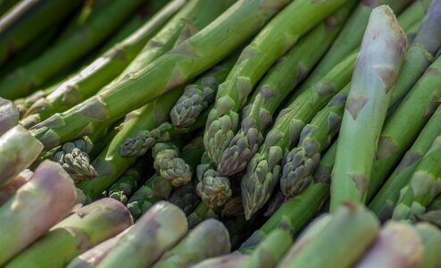Vegetable market vegetable garden