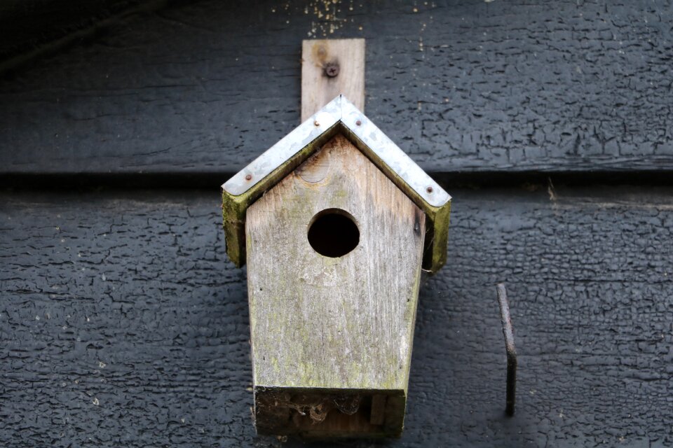 Birdhouse barn bird