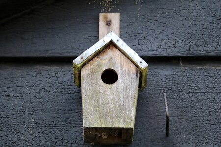 Birdhouse barn bird photo