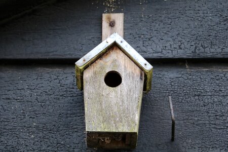 Birdhouse barn bird