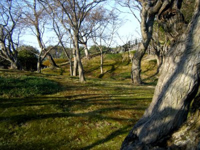 Korakuen Okayama 2009 14
