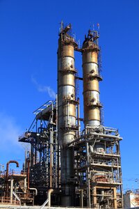 Plant production blue industry