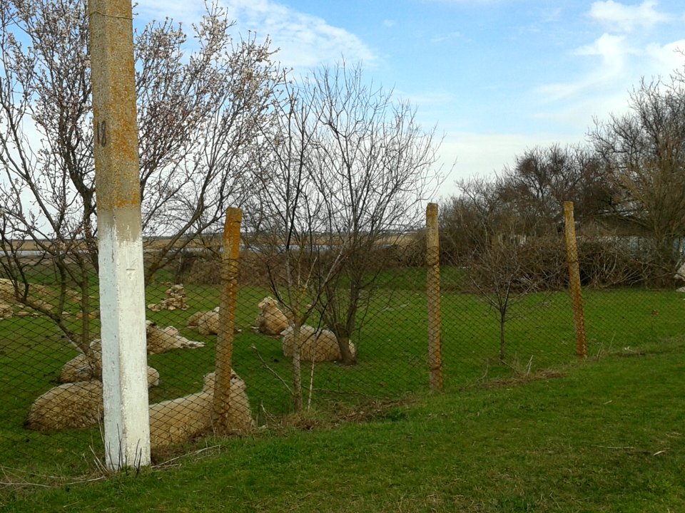 KopaniCr 11