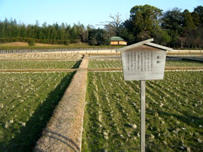 Korakuen Okayama 2009 27