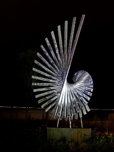 KonzSilverSunH2b