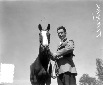 Kop Tuinner paardesport met paard, Bestanddeelnr 905-0991