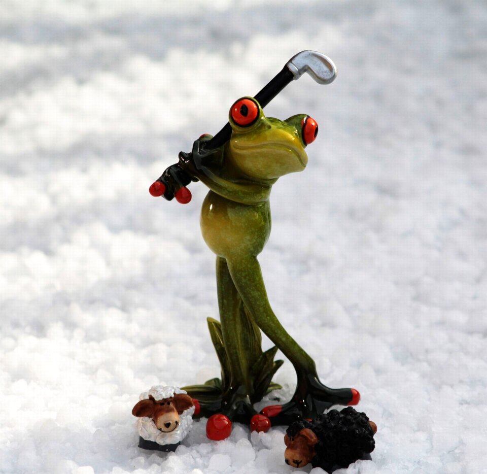 Green frog funny cute