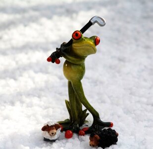 Green frog funny cute