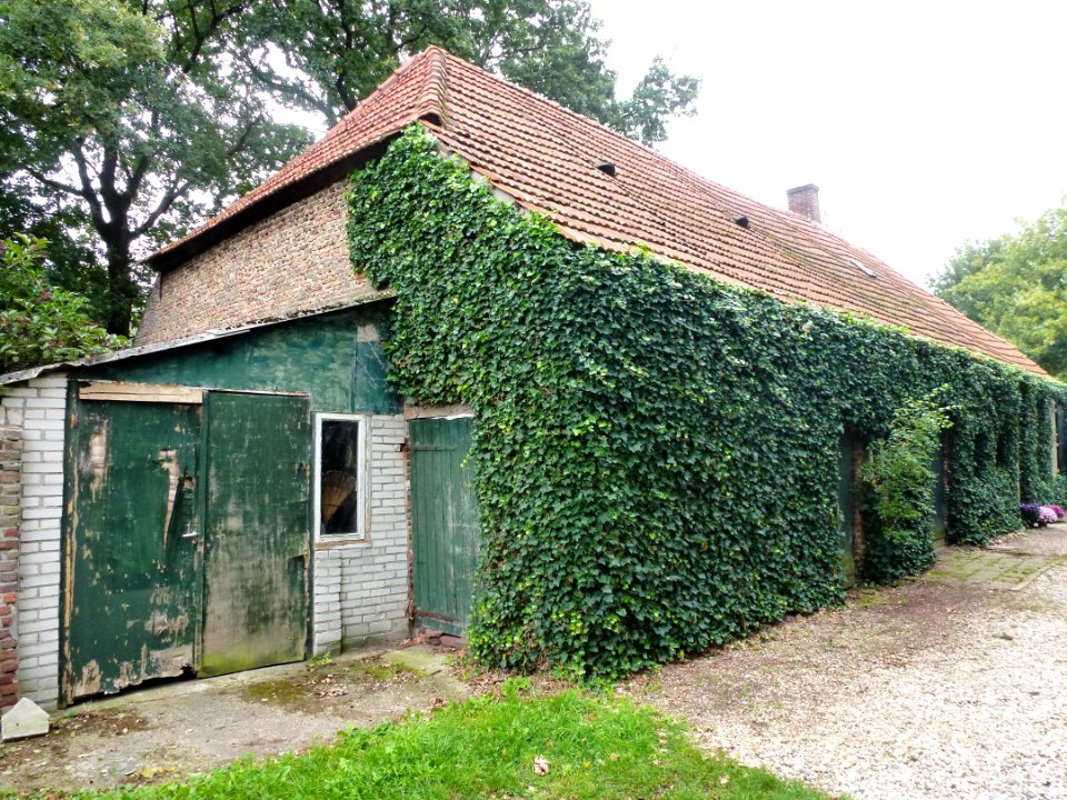 Koolwijk (Oss, NL) Berghemseweg 17 (01)