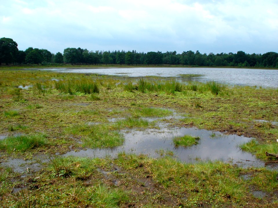 Koolwijk, Groot Ganzenven