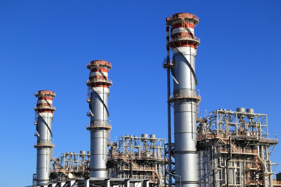 Plant production blue industry