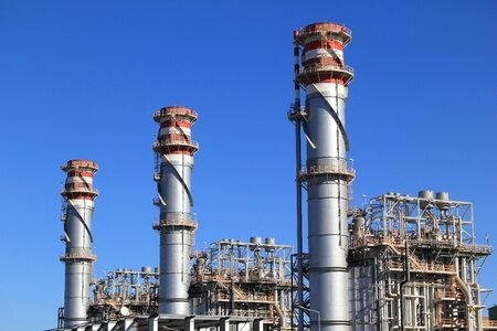 Plant production blue industry