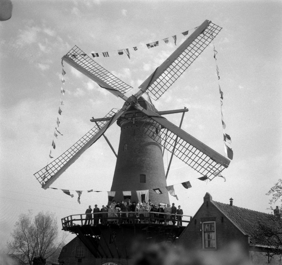 Korenmolen De Hoop te Rozenburg is versierd met vlaggen. Rond stenen stellingmo…, Bestanddeelnr 904-5394