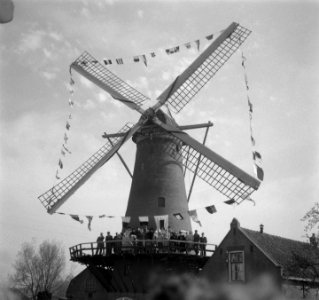 Korenmolen De Hoop te Rozenburg is versierd met vlaggen. Rond stenen stellingmo…, Bestanddeelnr 904-5394