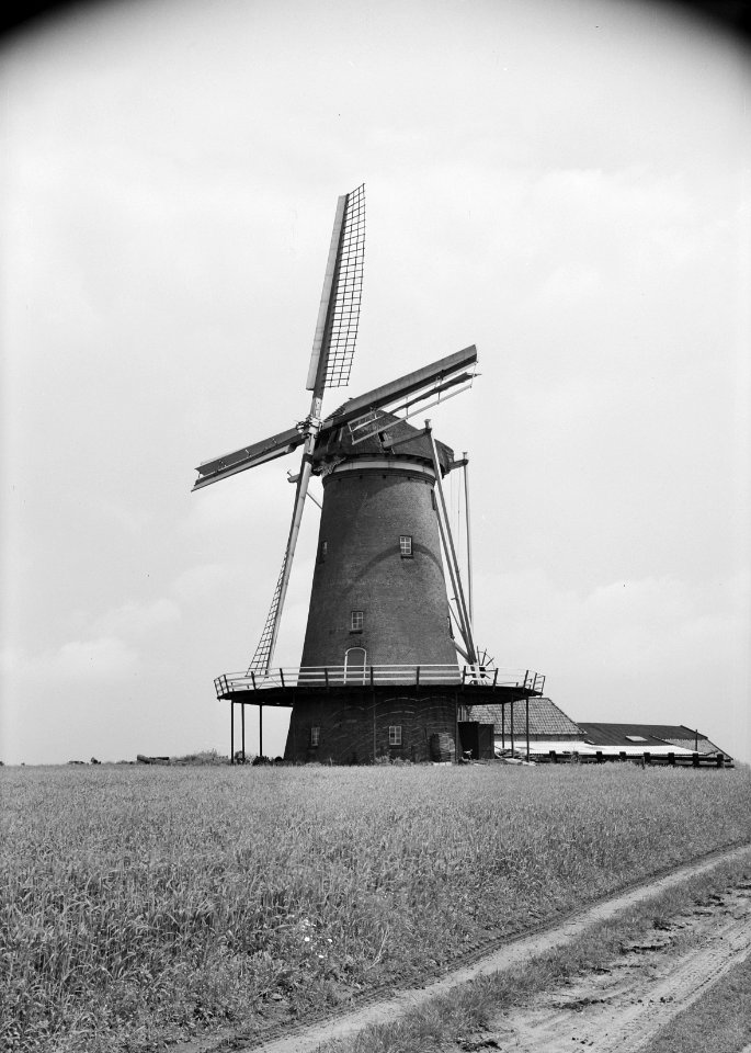 Korenmolen, genaamd De Hollandsche Molen te Neede, provincie Gelderland Rond st, Bestanddeelnr 162-1238