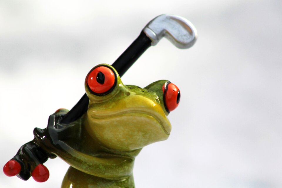Green frog funny cute
