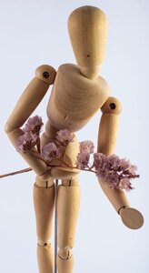 Flowers dried flowers snowman