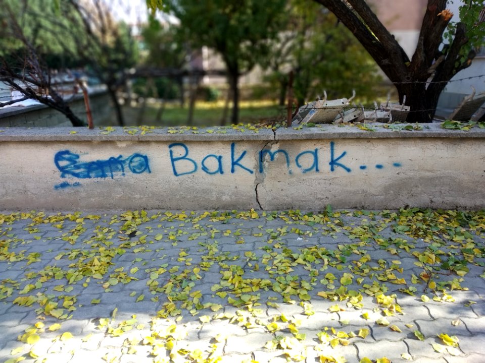 Konya duvar yazısı 06