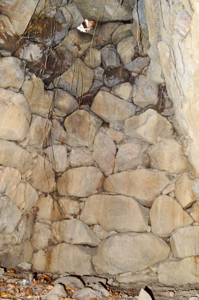 Koorigawa Kofun Group-16, genshitsu-1