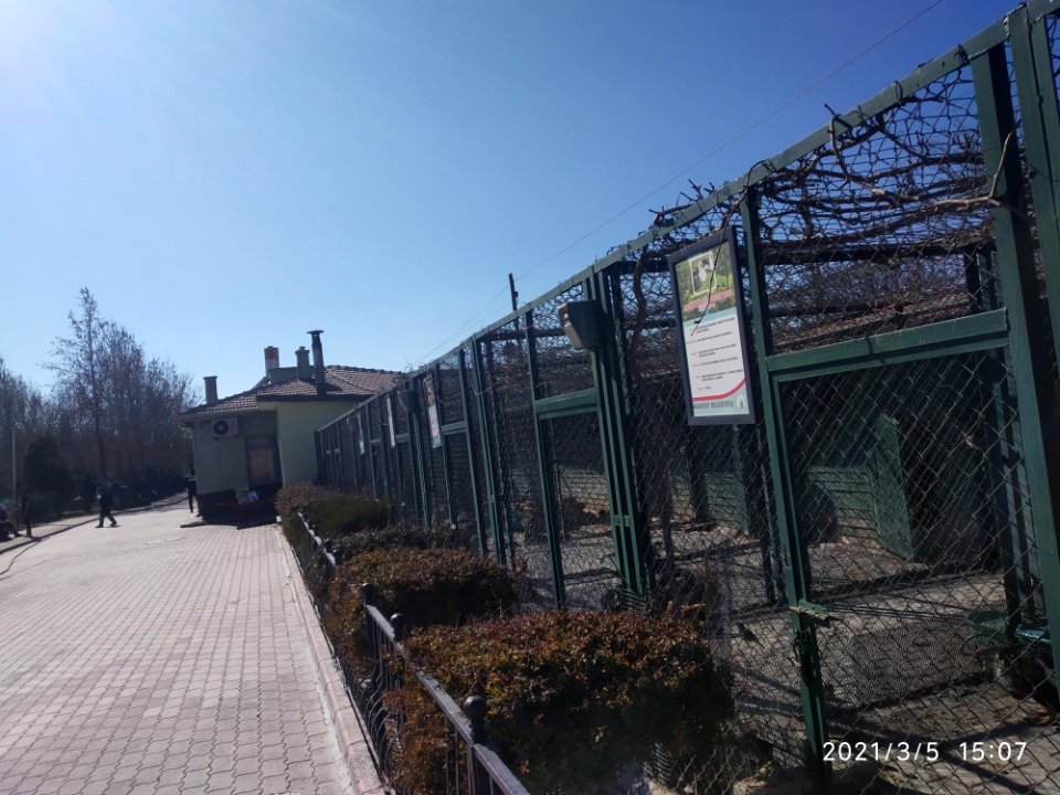 Konya hayvanat bahçesi 2021 2