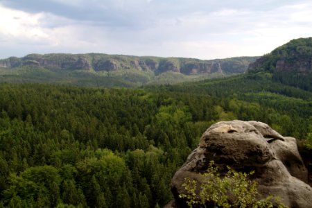 Kuhstall 2012-05-27-7593