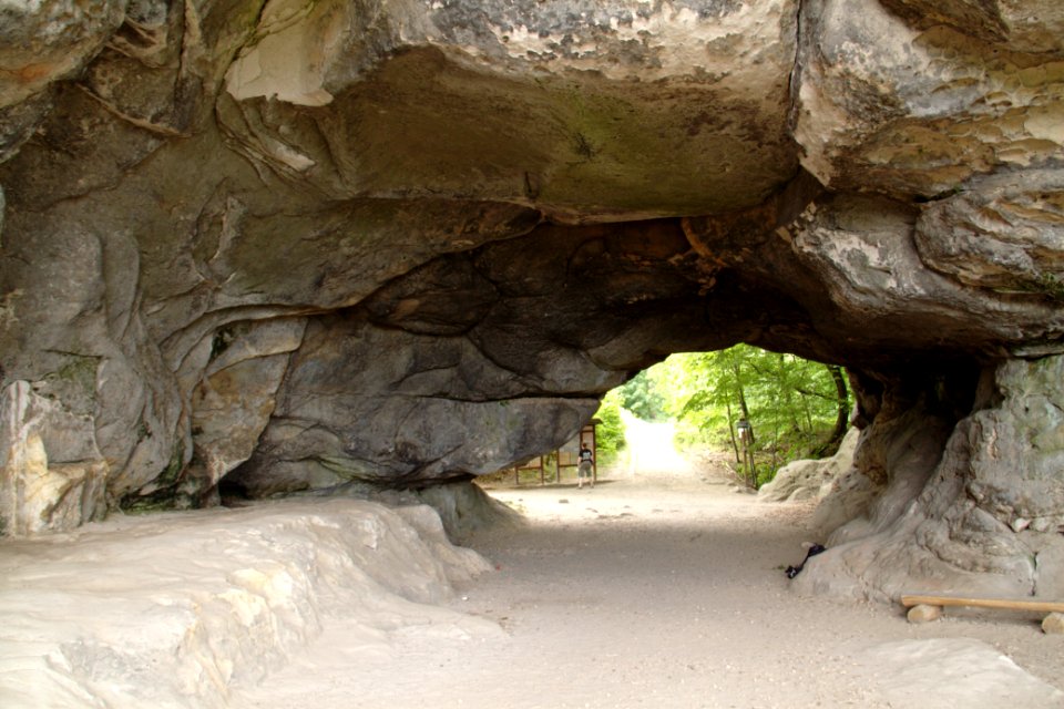 Kuhstall 2012-05-27-7507