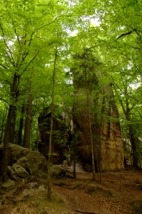 Kuhstall 2012-05-27-7620