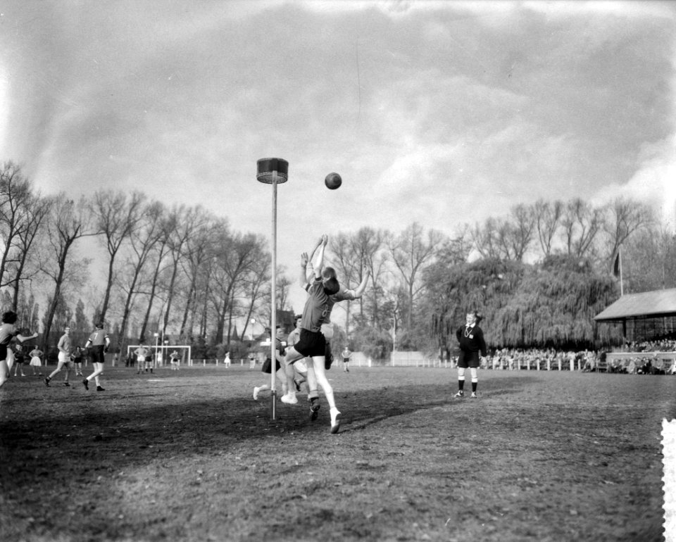 Korfbal Belgie tegen Nederland 4-4 te Merksem, Bestanddeelnr 909-0456