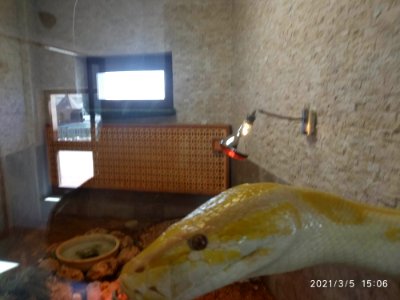 Konya piton 112