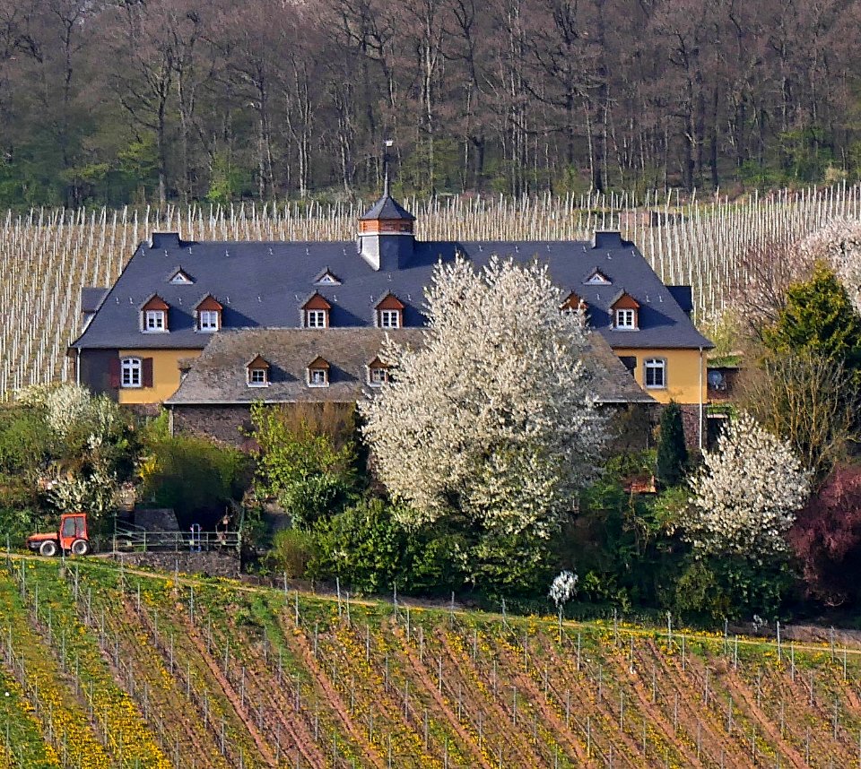 Konz Weingut Falkensteiner Hof H4