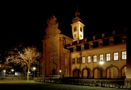 Konz Klosterkirche St. Johann in Karthaus H2 photo