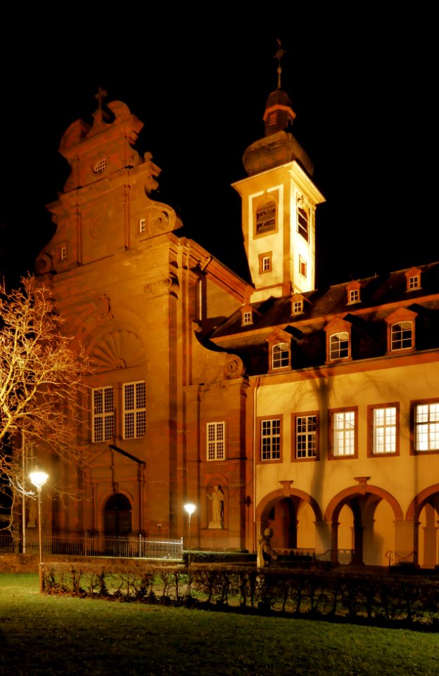 Konz Klosterkirche St. Johann in Karthaus H1