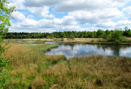 Kootwijkerveen