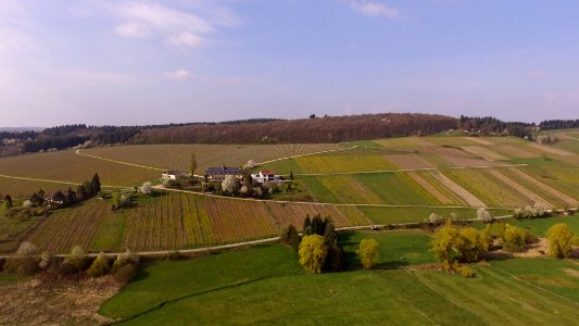 Konz Weingut Falkensteiner Hof H2