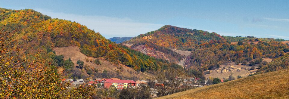 Autumn forest outdoor photo