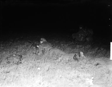Korea vrijwilligers op Veluwe oefening, Bestanddeelnr 904-2309