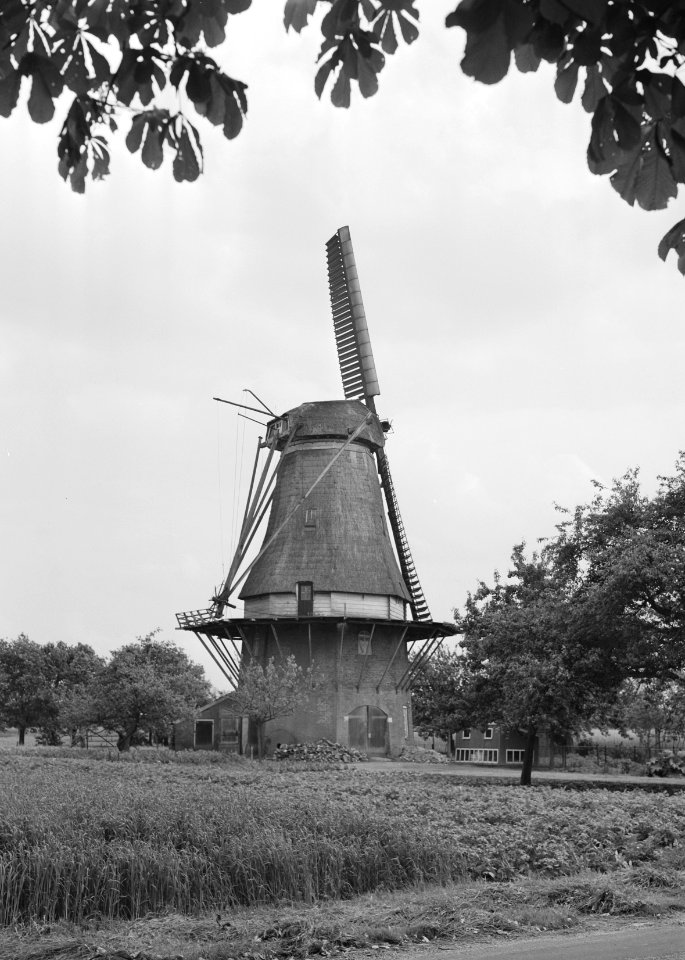 Korenmolen De Ster met één roede te Geesteren, provincie Gelderland 8-kante ste, Bestanddeelnr 162-1239