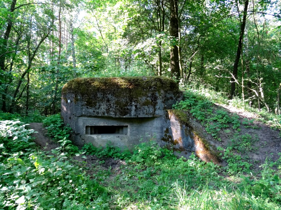 Kruszyn PrzedmoscieBydgoskie schron4 2 5-2015