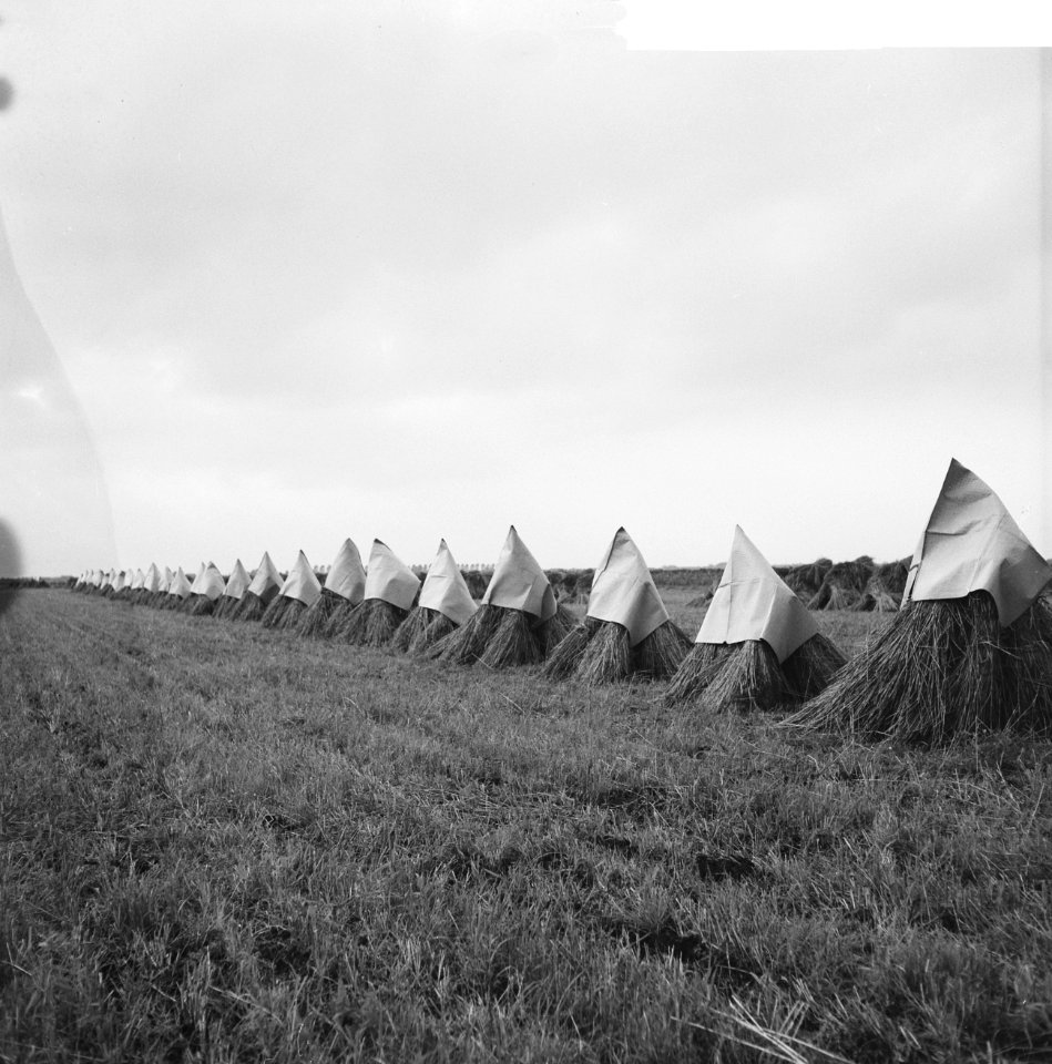 Korenschoven met muts, tegen de regen, Bestanddeelnr 918-1844