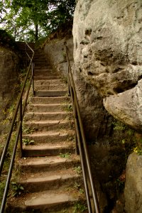 Kuhstall 2012-05-27-7598