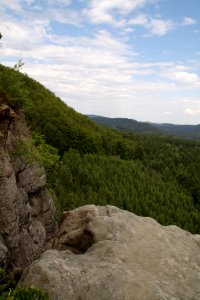 Kuhstall 2012-05-27-7535
