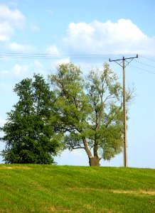 Kujawy krajobraz 8