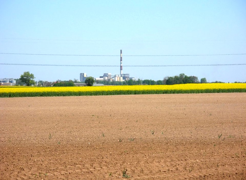 Kujawy krajobraz 6